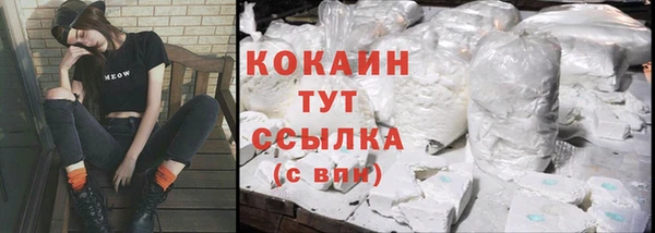 гидра Карпинск