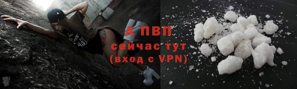 гидра Карпинск