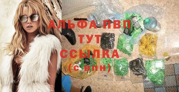 гидра Карпинск