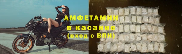 гидра Карпинск