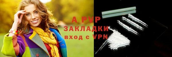 гидра Карпинск
