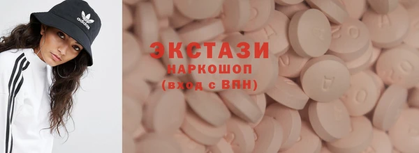 гидра Карпинск