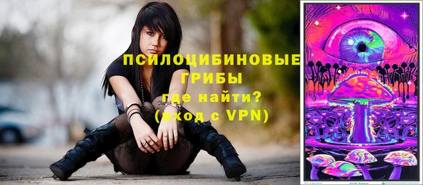 гидра Карпинск