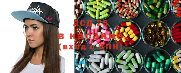 гидра Карпинск