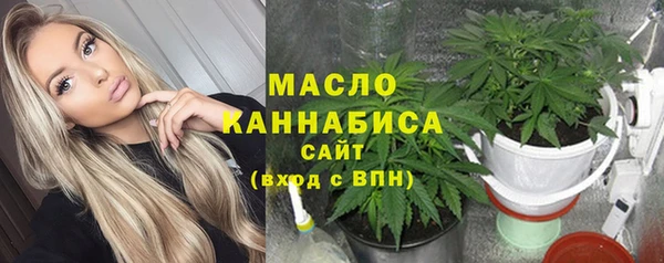 гидра Карпинск
