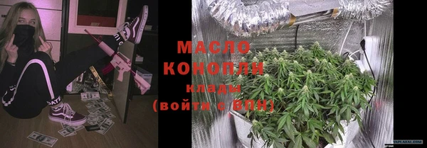 гидра Карпинск