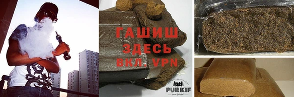 гидра Карпинск