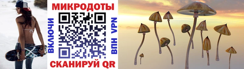 Купить  Каменск-Шахтинский  Галлюциногенные грибы Psilocybine cubensis 